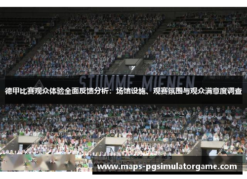 德甲比赛观众体验全面反馈分析：场馆设施、观赛氛围与观众满意度调查