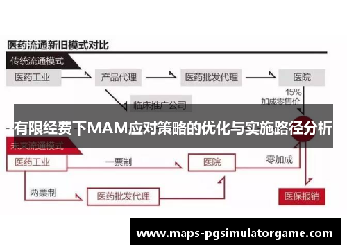 有限经费下MAM应对策略的优化与实施路径分析