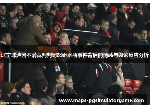 辽宁球迷因不满裁判判罚怒砸水瓶事件背后的情感与舆论反应分析