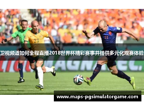 卫视频道如何全程直播2018世界杯精彩赛事并提供多元化观赛体验