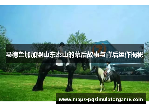 马德鲁加加盟山东泰山的幕后故事与背后运作揭秘