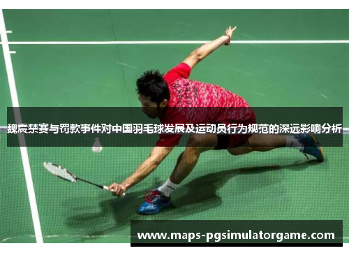 魏震禁赛与罚款事件对中国羽毛球发展及运动员行为规范的深远影响分析