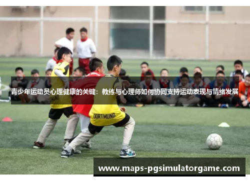青少年运动员心理健康的关键：教练与心理师如何协同支持运动表现与情绪发展