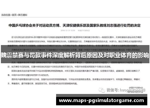 魏震禁赛与罚款事件深度解析背后原因及对职业体育的影响